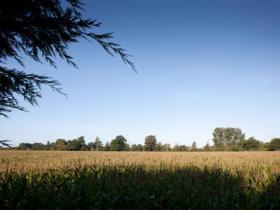 The view across the fields from The Avon and The Stour