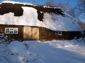 Wintry scene at Blackbird and Wren cottage