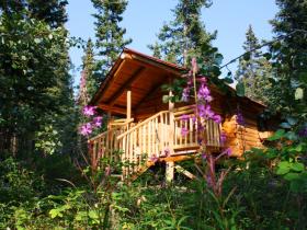 Hand built log cabin, cozy and comfy!