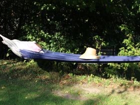 Relax in a hammock under the plum tree.