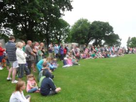 Falconry Display