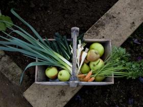 Battlesteads Home Grown Veg!