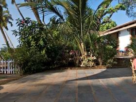 The terrace