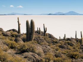 Uyuni Salt Lakes - Bolivia