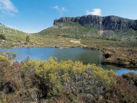 Tasmania small group walking holiday