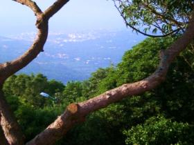 view from garden to ocean