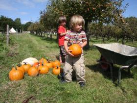 family harvest