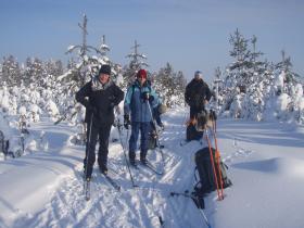 Skiing