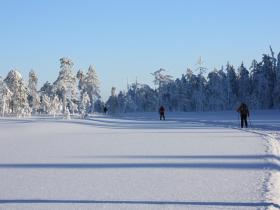 Skiing
