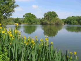 Beautiful grounds to enjoy