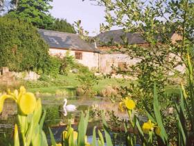 Nature on your doorstep