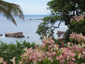 view towards the sea
