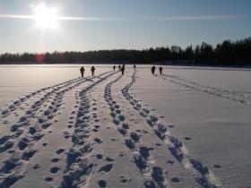 On the lake