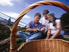 learning to weave with Irish willow