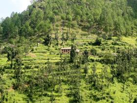 Kumaon Himalayas luxury accommodation, India
