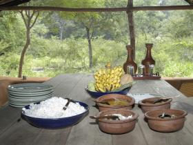 Bush lunch