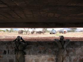 Mkomazi Viewing Bunker