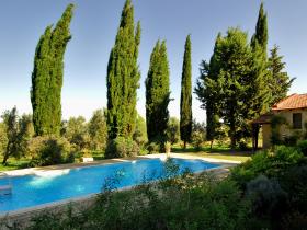 Garden with pool