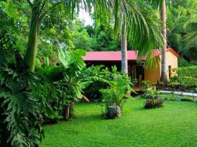 Hacienda Chichen offers private cottage rooms to you over viewing lush tropical gardens