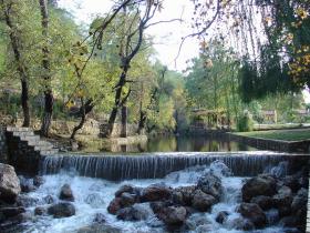Dalya River
