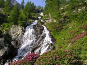 Valmasque valley in the spring