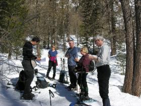 Talking navigation!!