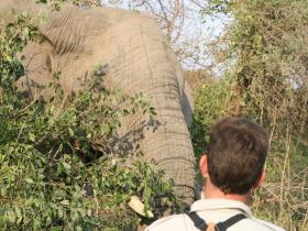 Sabi Sands & Kruger safari holiday in South Africa