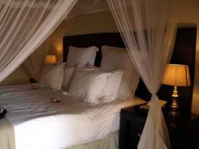 Safari bedroom
