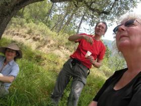 Lunch in the olive groves