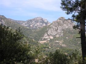 Looking up to Sainte Agnes