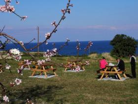 garden & sea view