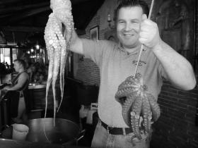 Pulpo