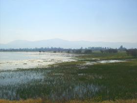 Batuco Wetland