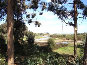 Mantagua Wetland