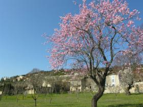 Spring