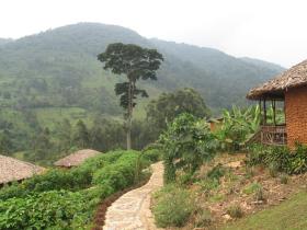 Uganda luxury lodge, nr Bwindi forest