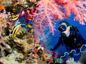 Diving in Andaman