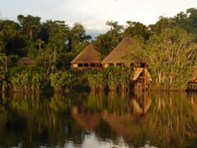 Amazon Rainforest eco lodge accommodation, Ecuador