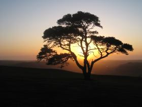 Above Penrhiw