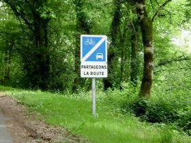 Motorists have to share the road with cyclists.