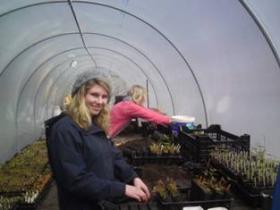 Volunteers working in our tree nursery