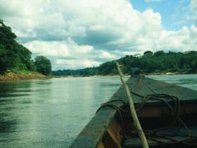 Jungle river landscape