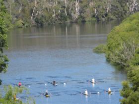 Rowers on the river