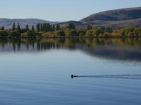 Nearby Lake Meadowbank