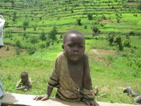 Batwa Pygmy tribe little boy