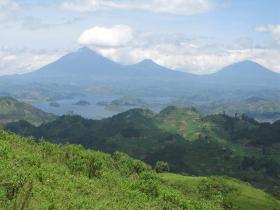 Volunteer during the week and explore the stunning and diverse landscape of Bwindi at the weekends