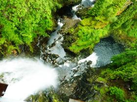 Plodda Falls