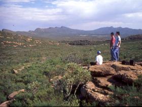 Wilpena Lookout from Rawnsley Park