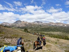 Pack horse train