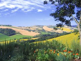 View from the Herb Garden